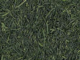 Grüner Tee Japan k.b.A. Shincha Saemidori, Tüte à 500 g JP-BIO-009 D&B Bio-Kontrollstelle DE-OKÖ-003