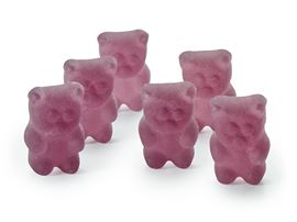 Tee-Bären® Heidelbeer-Vanille, vegan, 1 kg mit Heidelbeer-Vanillegeschmack