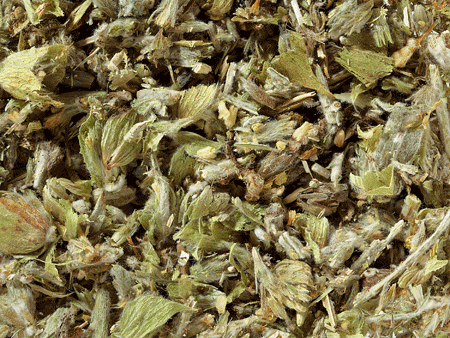 Griechischer Bergtee geschnitten