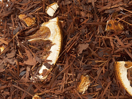 Lapachoteemischung Lapacho Orangen-Vanille-Note aromatisiert