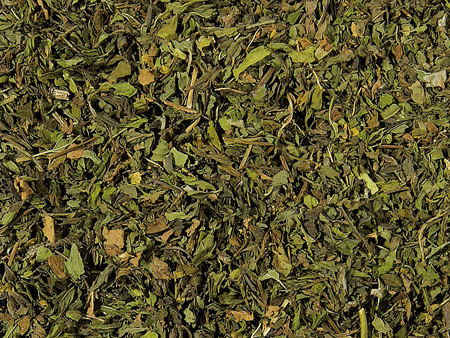 Nana Minze/ Spearmint geschnitten