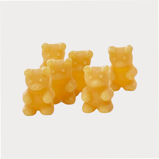 Tee-Bären "Ingwer-Zitrone" mit Ingwer- und Zitronengeschmack