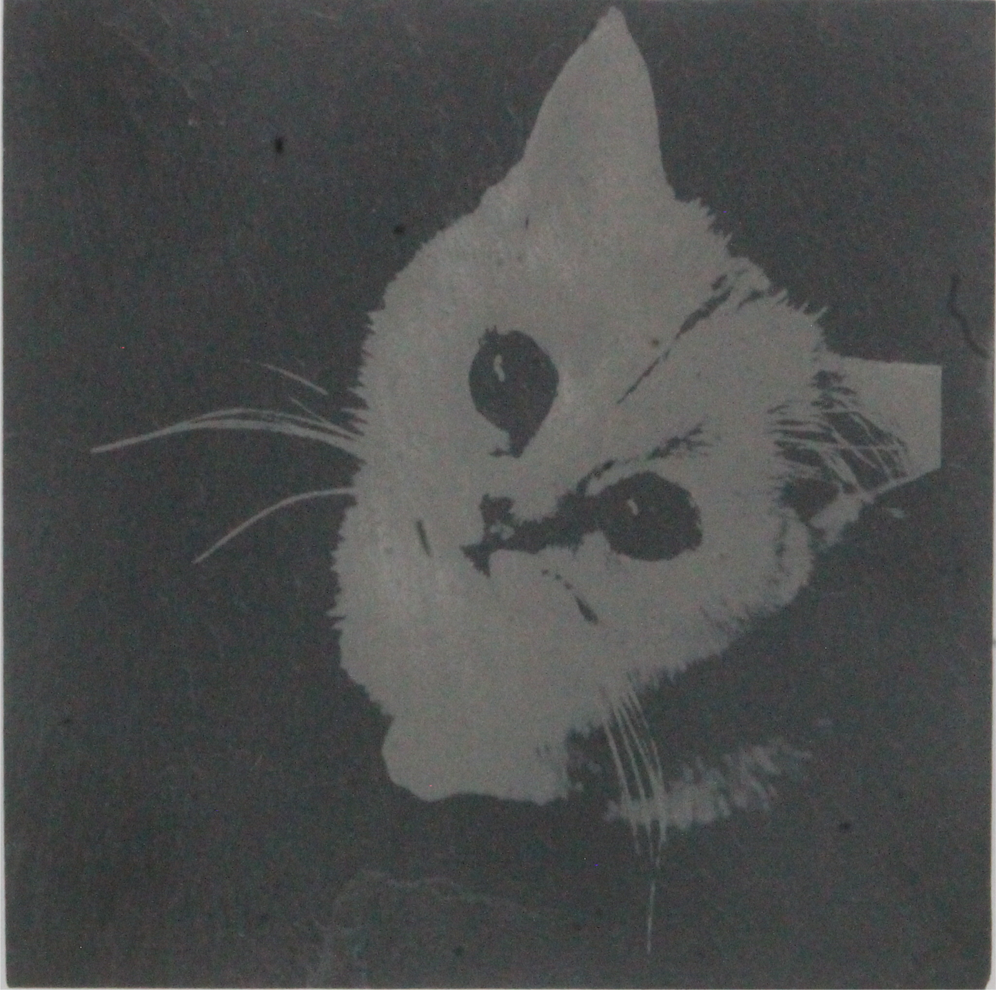 Individuell gravierte mit Bild Schieferplatte / Teller 30x20cm