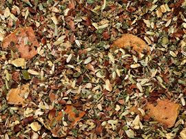 Kräuterteemischung Kurkuma Gold [Kurkuma-Kakao-Note] / aromatisiert