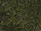 Grüner Tee Japan k.b.A. Kabusecha Miyazaki JP-BIO-041 D&B Bio-Kontrollstelle DE-ÖKO-003