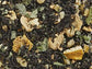 Schwarzteemischung Lemon Ginger [Ingwer-Zitronen-Vanille-Note] aromatisiert