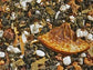 Halbfermentierte Teemischung Oolong Milky Orange [Orangen-Sahne Note] aromatisiert
