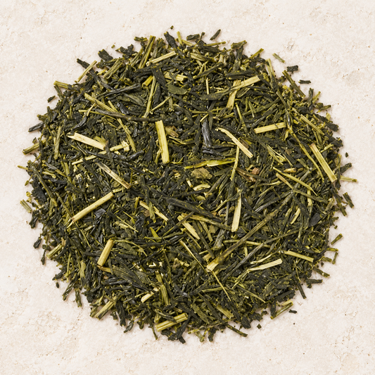 Grüner Tee Japan Sencha Shizu 7132 – Atelierbild