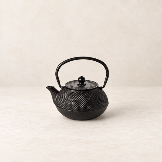 Kanne "Shanghai" Gusseisen, schwarz mit Edelstahlsieb, 0,8 l – TEEMANDO Atelier