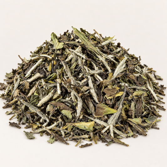 BIO China Pai Mu Tan 1 kg – TEEMANDO Atelier