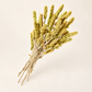 BIO Griechischer Bergtee ganze Rispen – TEEMANDO Atelier