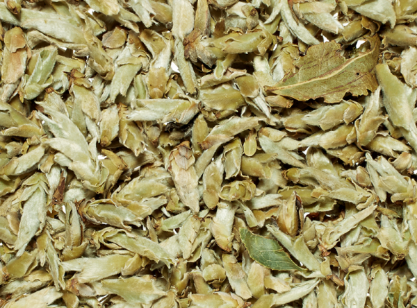 Weißer Tee China Yunnan Silver Bud Ya Bao 1 kg