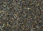 BIO Schwarzer Tee Darjeeling k.b.A. SFTGFOP1 Ambootia DE-ÖKO-006 1kg
