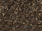 Schwarzer Tee Darjeeling FTGFOP1 Jungpana (inbetween)