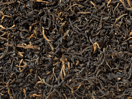Schwarzer Tee Assam FTGFOP1 Mokalbari 50 Pyramidenbeutel im Sachet à 3 g