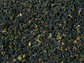 BIO Schwarzer Tee Darjeeling k.b.A. BPS Sungma s.f. DE-ÖKO-006 