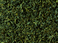 BIO Grüner Tee China k.b.A. Chun Mee DE-ÖKO-006