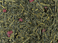 Grüntee Sencha Japanische Kirsche Sauerkirchen-Note aromatisiert