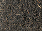 Schwarzer Tee Assam TGFOP1 Hunwal 
