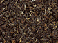 Halbfermentierter Tee Formosa Oolong "Butterfly of Taiwan"