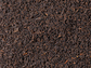 Schwarzer Tee Ceylon Pekoe Lover's Leap