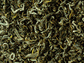Grüner Tee China White Monkey 