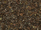 chwarzer Tee Darjeeling k.b.A. FTGFOP1 Avongrove s.f. DE-ÖKO-006 