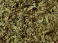 Pfefferminze ohne Zusatz von Aroma 50 Pyramidenbeutel im Sachet à 2 g