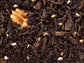 Halbfermentierter Teemischung Oolong Maple Walnuss Ahorn-Note aromatisiert