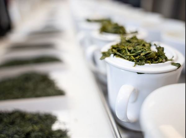 Professionelles Set für ds Probieren verschiedener Teesorten aus weißem Porzellan