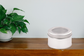 Dose "Taby" con Cha Cult, 150g mit Sichtfenster, rund